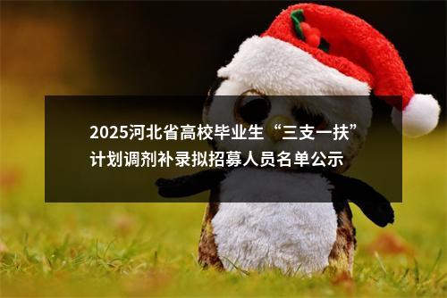 2025河北省高校毕业生“三支一扶”计划调剂补录拟招募人员名单公示 图片