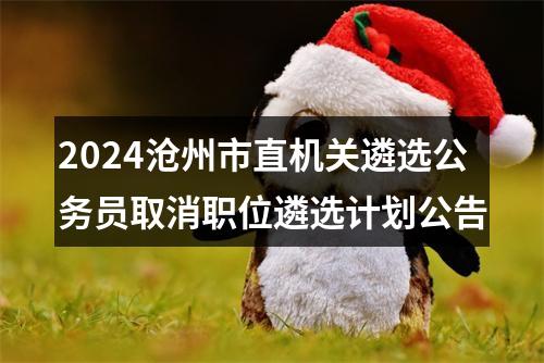 2024沧州市直机关遴选公务员取消职位遴选计划公告 图片