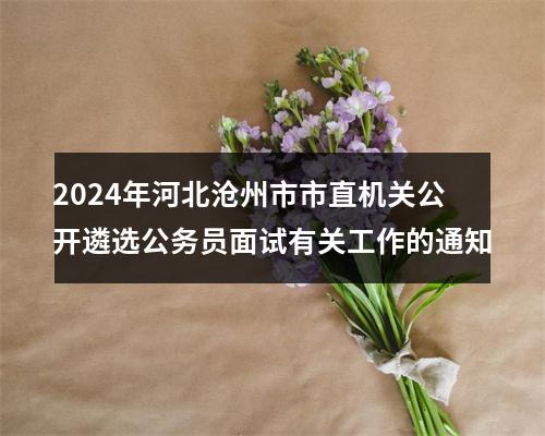 2024年河北沧州市市直机关公开遴选公务员面试有关工作的通知 图片