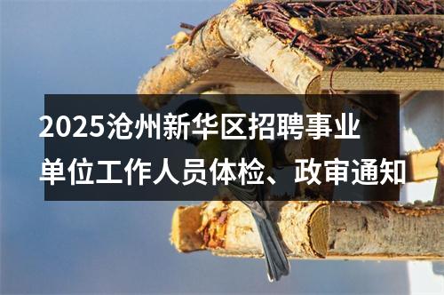 2025沧州新华区招聘事业单位工作人员体检、政审通知 图片