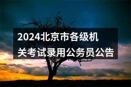 2024河北公务员考试公告（9007名) 图片