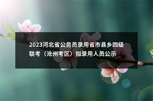 2023河北省公务员录用省市县乡四级联考（沧州考区）拟录用人员公示 图片