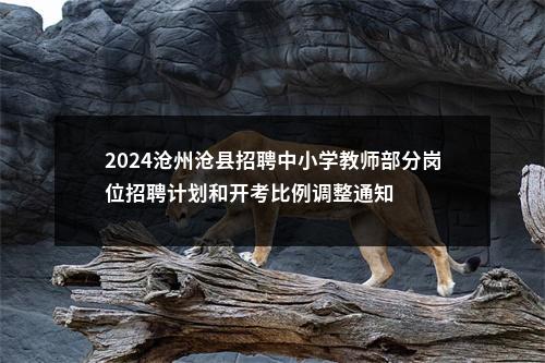 2024沧州沧县招聘中小学教师部分岗位招聘计划和开考比例调整通知 图片