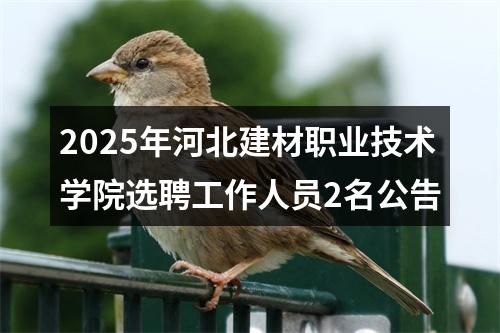 2025年河北建材职业技术学院选聘工作人员2名公告 图片