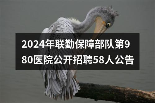 2024年联勤保障部队第980医院公开招聘58人公告 图片